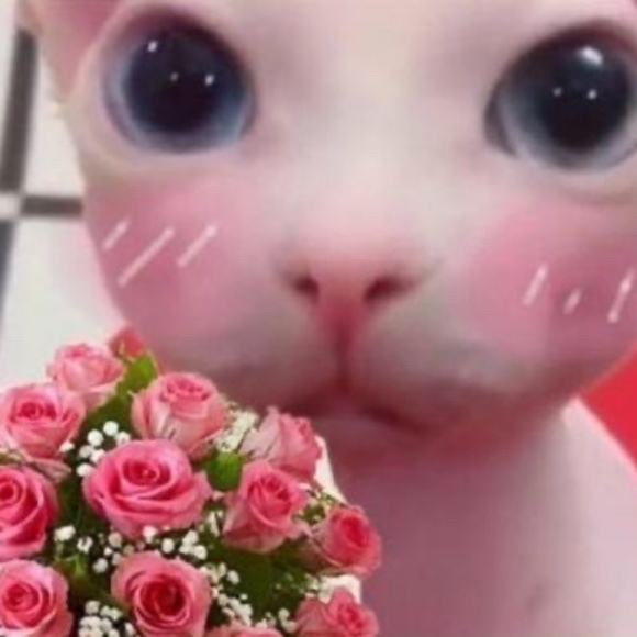 Meet your Posher, Andrea - Picture 1 of 1